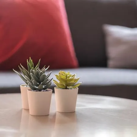 Nouveau - Loft Sofya - Europa Park Rulantica アパート